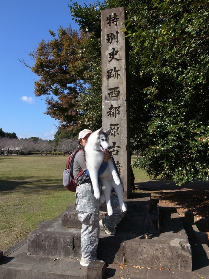 c0049299_1952529.jpg