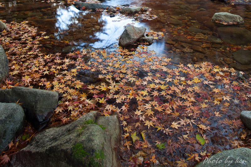 ＠大寧寺_f0234500_21215441.jpg