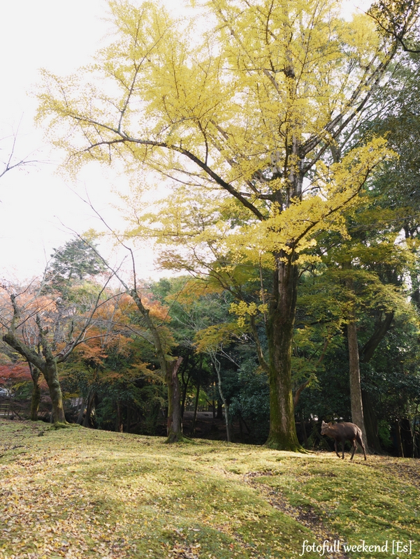 b0138101_152122.jpg