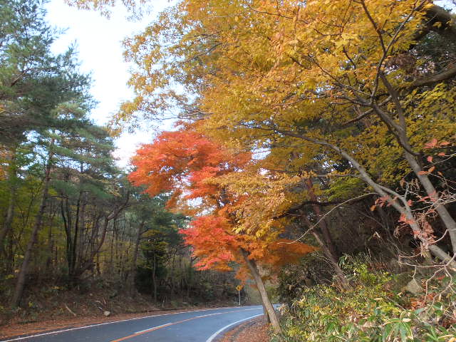 a0271502_12212348.jpg