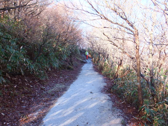 a0271502_1511035.jpg