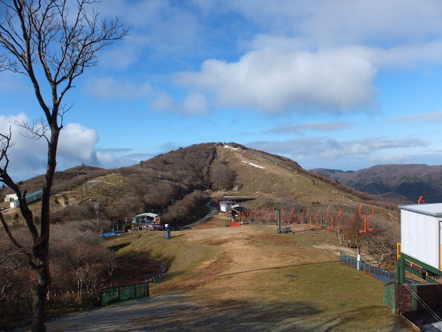 a0271502_1523470.jpg