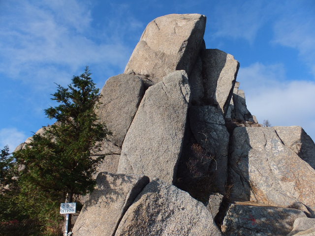 a0271502_1725567.jpg