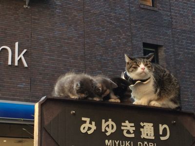誕生日_d0260803_2041215.jpg