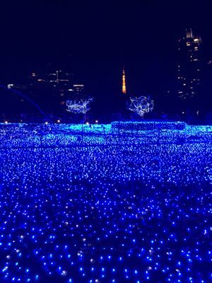 誕生日_d0260803_2041556.jpg
