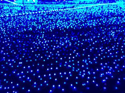 誕生日_d0260803_204164.jpg