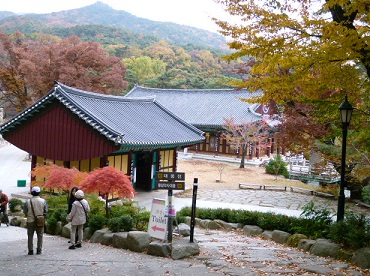 秋の韓国第２弾　⑥　桐華寺（동화사 /ﾄﾝﾌｧｻ）_a0140305_210461.jpg