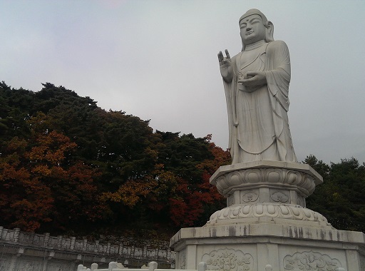 秋の韓国第２弾　⑥　桐華寺（동화사 /ﾄﾝﾌｧｻ）_a0140305_2132944.jpg