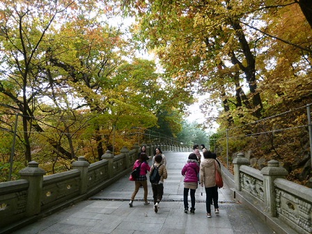 a0140305_213760.jpg