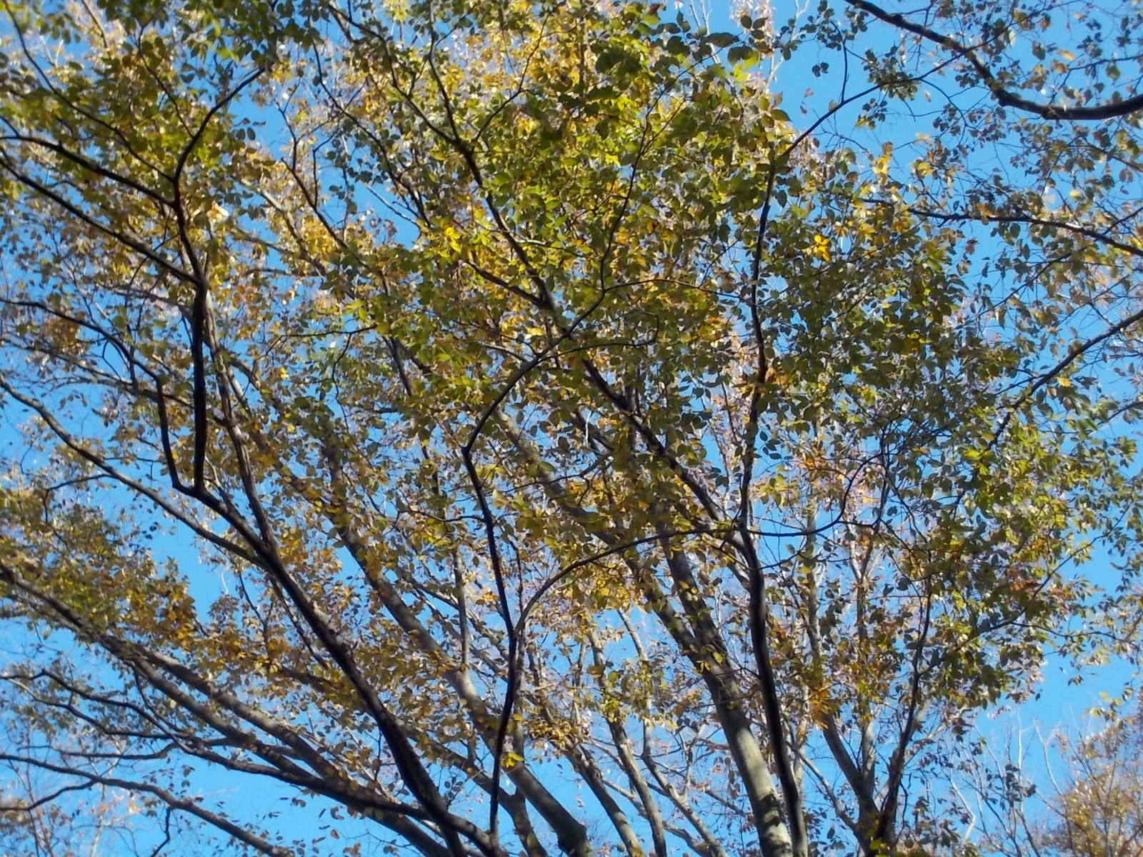 b0277505_2103781.jpg
