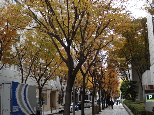 c0230109_23172594.jpg
