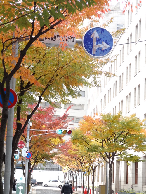 c0230109_8181882.jpg