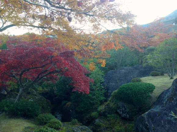 母娘箱根旅行①_e0126009_12212479.jpg