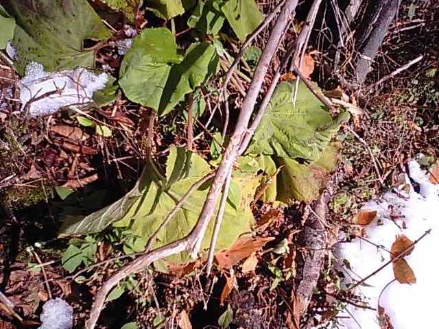 f0231709_1232318.jpg