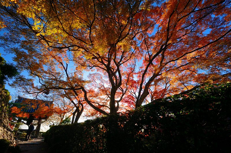 f0032011_17455094.jpg