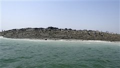 d0051212_2064953.jpg