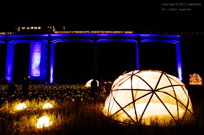 INAKAイルミ2013 _d0309612_23422974.jpg