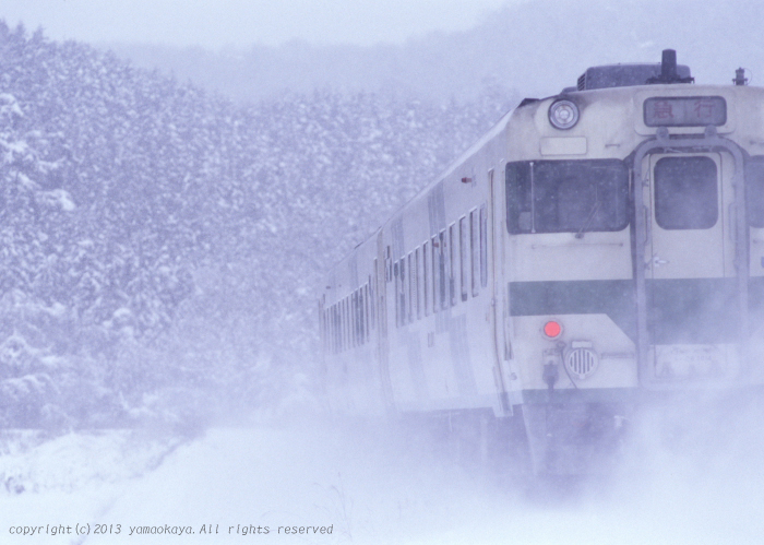 雪煙をまきあげて_d0309612_8485424.jpg