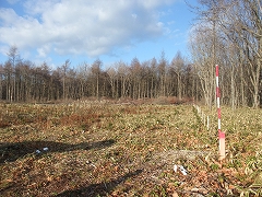 c0173813_16574868.jpg