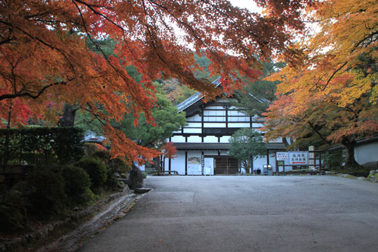 南禅寺 13紅葉だより44_e0048413_21442084.jpg