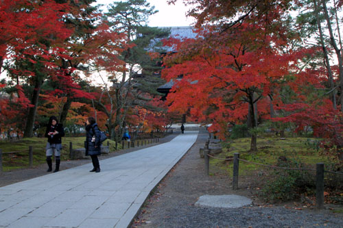 南禅寺 13紅葉だより44_e0048413_2144443.jpg