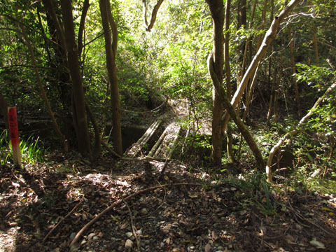 e0293913_21453325.jpg