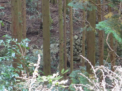 e0293913_2146352.jpg