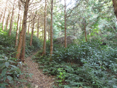 e0293913_21545947.jpg