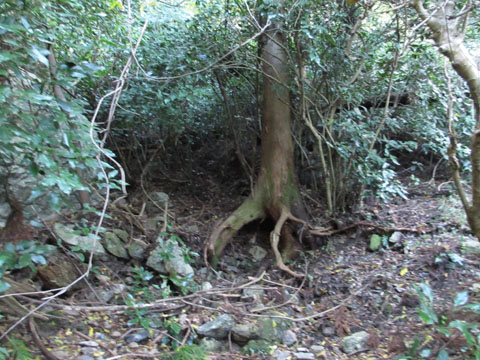 e0293913_21564257.jpg