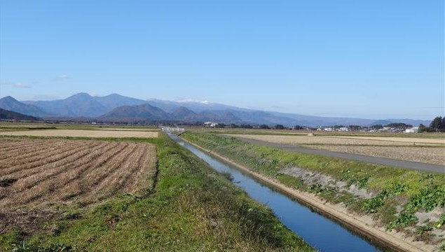 a0127015_2151340.jpg