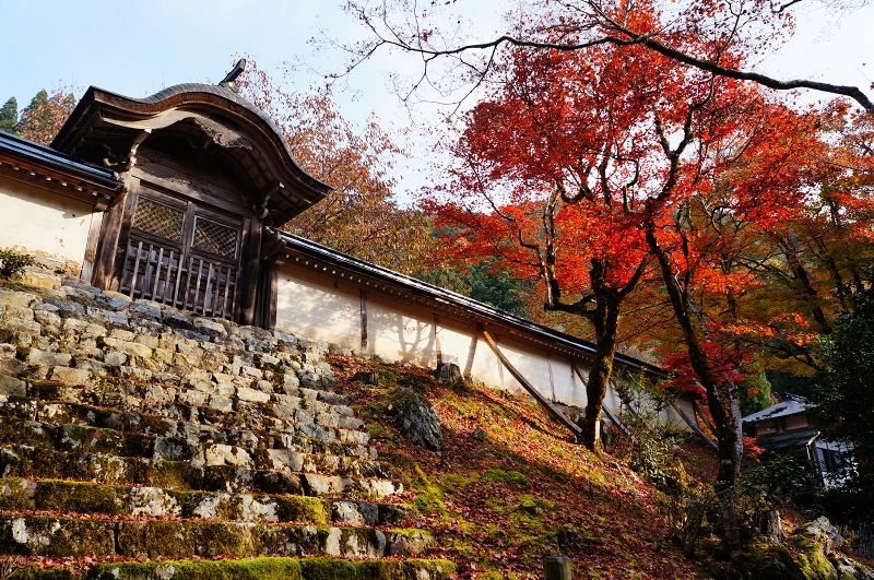 常照皇寺_c0119618_2171130.jpg