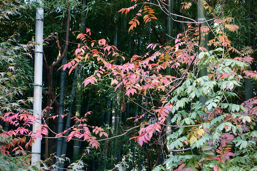 b0284519_8405858.jpg