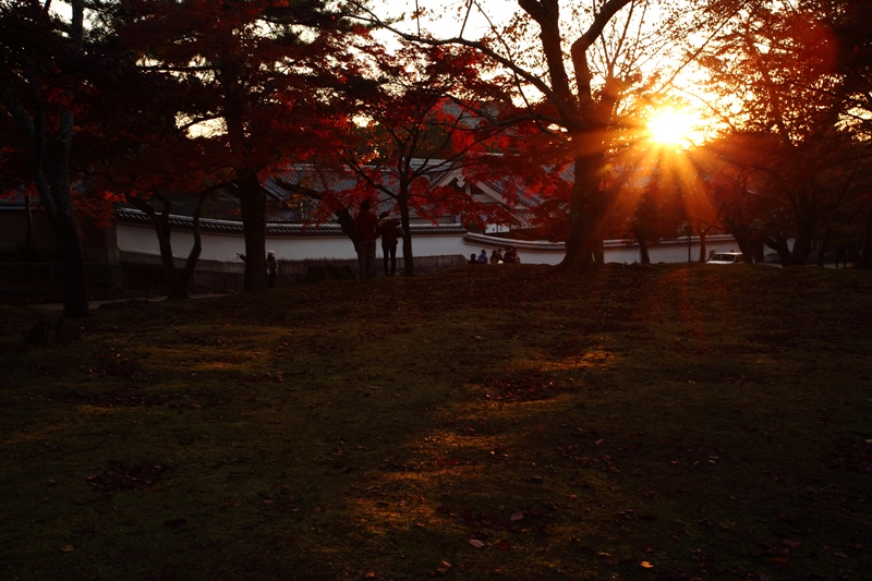 奈良公園をぶらり_f0302119_1044782.jpg