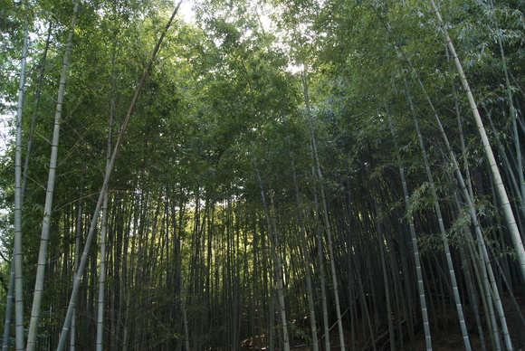 c0020320_16154394.jpg