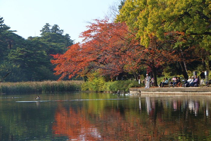 ’13年　大宮公園の紅葉_d0150720_1254439.jpg