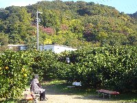 c0133422_0142677.jpg