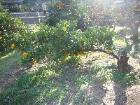 c0133422_0151885.jpg