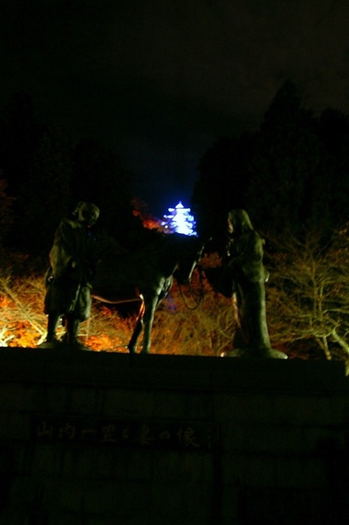 夜空の八幡城_e0256122_17332159.jpg