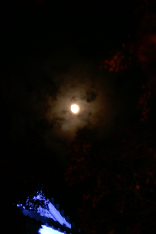 e0256122_17432851.jpg
