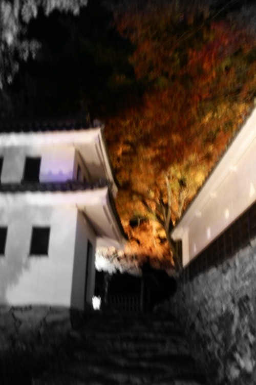 e0256122_17505984.jpg