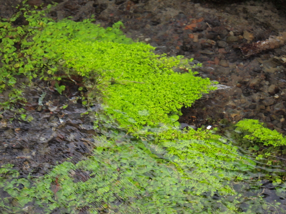 c0157323_1034437.jpg