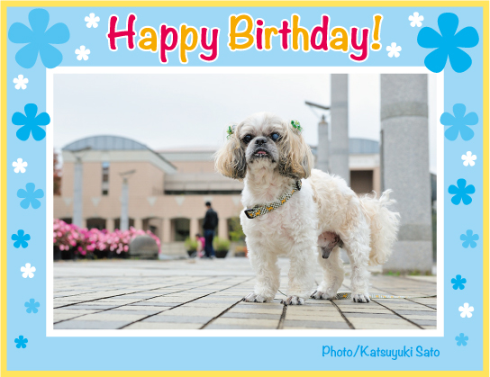 エールくん、りきくん、お誕生日おめでとう♪_d0102523_8574556.jpg