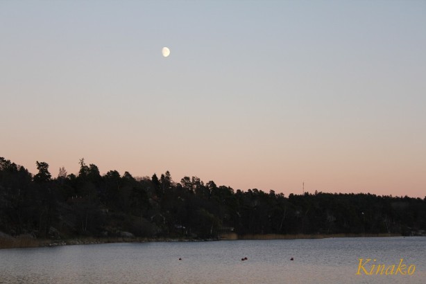 e0250023_113346.jpg