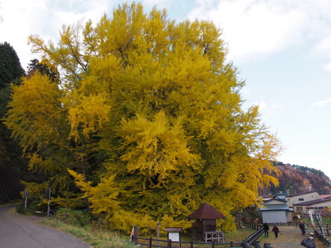 b0147224_2226467.jpg