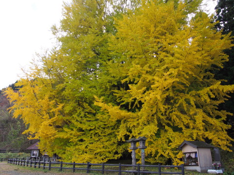 b0147224_22332774.jpg