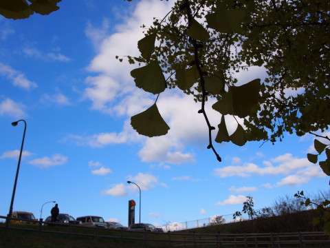 b0147224_22401337.jpg