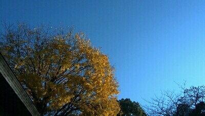 e0110226_0134850.jpg
