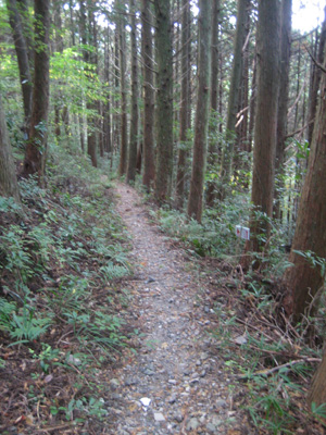 f0171227_934147.jpg