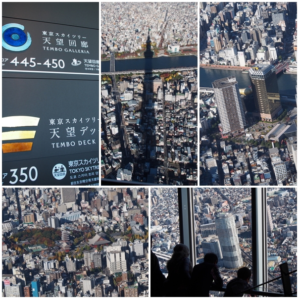 c0117831_17131768.jpg