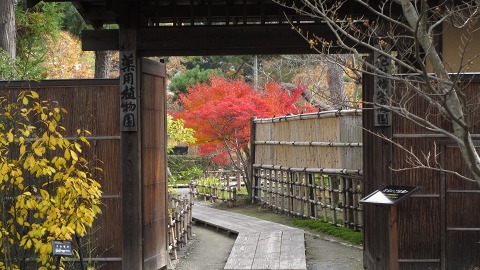 2013.11.16　御茶屋御殿_e0202031_1871837.jpg